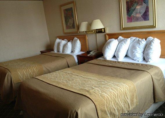 Comfort Inn Meadowvale Mississauga Bilik gambar